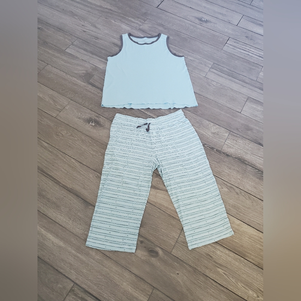 jijamas 100% Pima cotton pastel blue striped heart capri tank top pajama set XXL